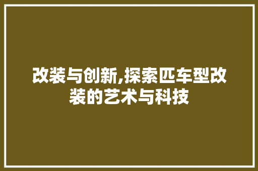 改装与创新,探索匹车型改装的艺术与科技