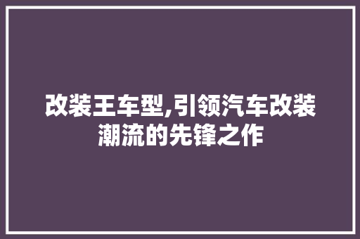 改装王车型,引领汽车改装潮流的先锋之作