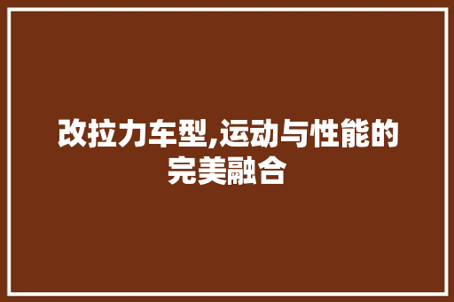 改拉力车型,运动与性能的完美融合