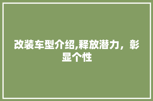 改装车型介绍,释放潜力，彰显个性