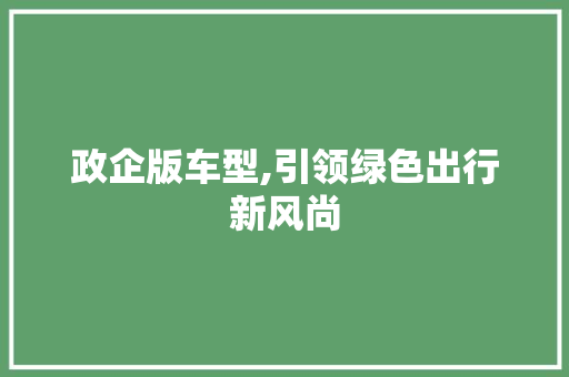 政企版车型,引领绿色出行新风尚