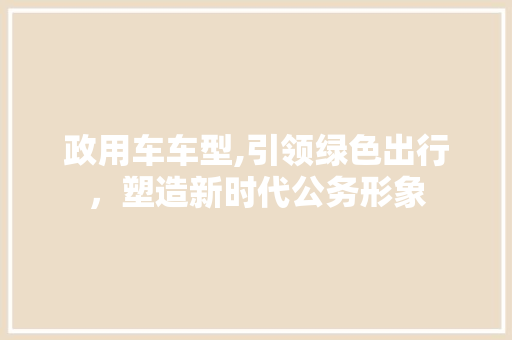 政用车车型,引领绿色出行，塑造新时代公务形象