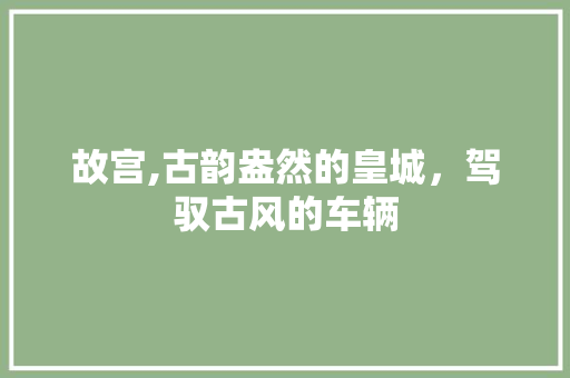 故宫,古韵盎然的皇城，驾驭古风的车辆