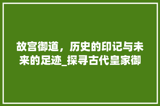 故宫御道，历史的印记与未来的足迹_探寻古代皇家御道上的车型传奇
