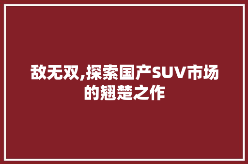 敌无双,探索国产SUV市场的翘楚之作