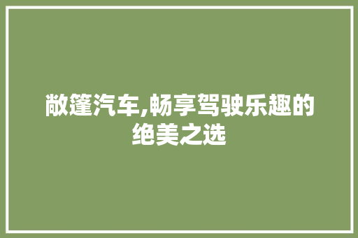 敞篷汽车,畅享驾驶乐趣的绝美之选