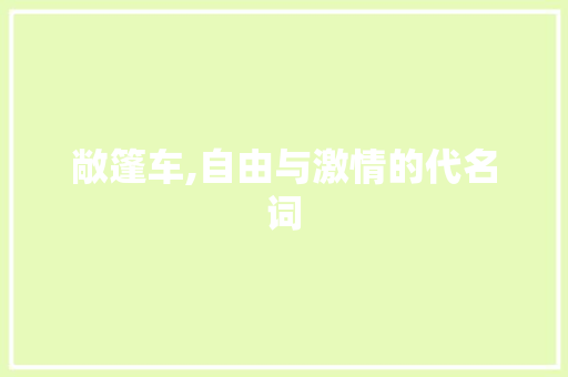 敞篷车,自由与激情的代名词