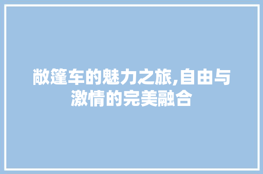 敞篷车的魅力之旅,自由与激情的完美融合