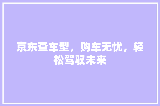 京东查车型，购车无忧，轻松驾驭未来 新款车型