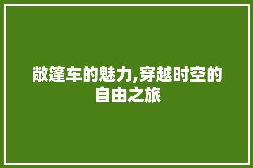 敞篷车的魅力,穿越时空的自由之旅
