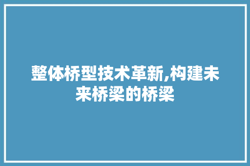 整体桥型技术革新,构建未来桥梁的桥梁
