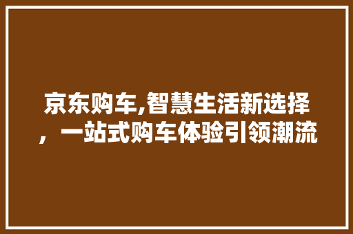 京东购车,智慧生活新选择，一站式购车体验引领潮流