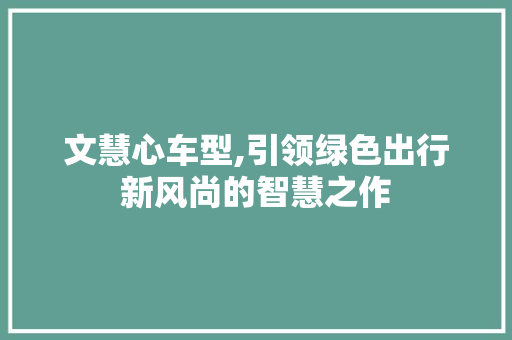 文慧心车型,引领绿色出行新风尚的智慧之作