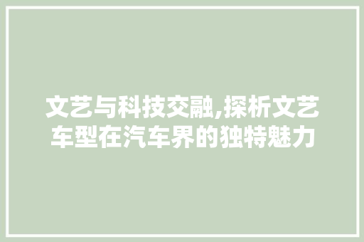 文艺与科技交融,探析文艺车型在汽车界的独特魅力