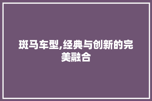 斑马车型,经典与创新的完美融合