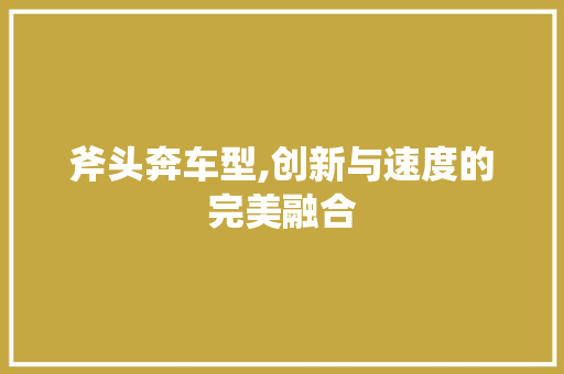 斧头奔车型,创新与速度的完美融合