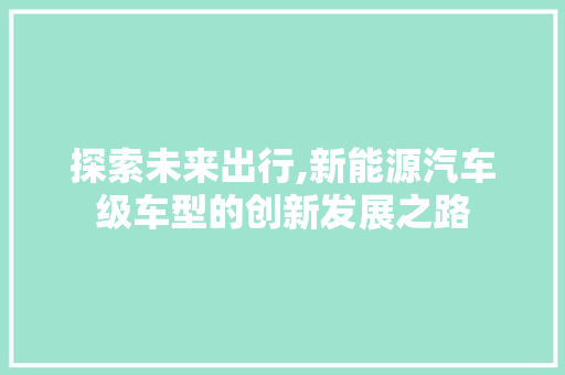 探索未来出行,新能源汽车级车型的创新发展之路