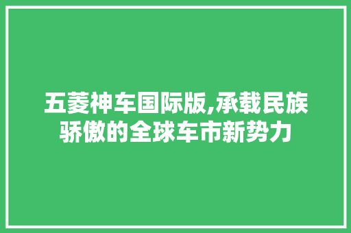 五菱神车国际版,承载民族骄傲的全球车市新势力
