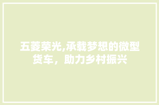 五菱荣光,承载梦想的微型货车，助力乡村振兴
