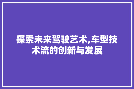 探索未来驾驶艺术,车型技术流的创新与发展