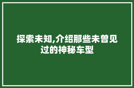 探索未知,介绍那些未曾见过的神秘车型