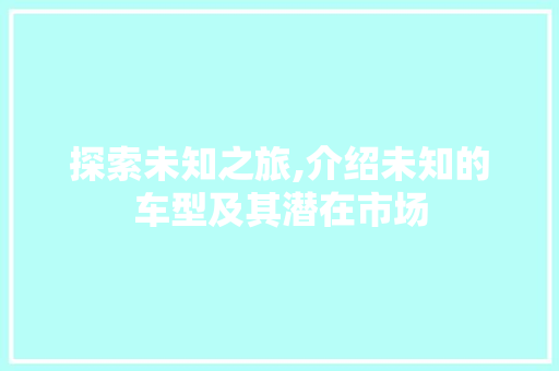探索未知之旅,介绍未知的车型及其潜在市场