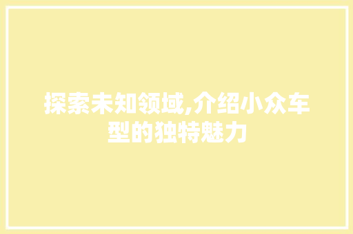 探索未知领域,介绍小众车型的独特魅力