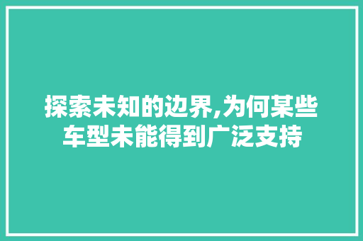 探索未知的边界,为何某些车型未能得到广泛支持