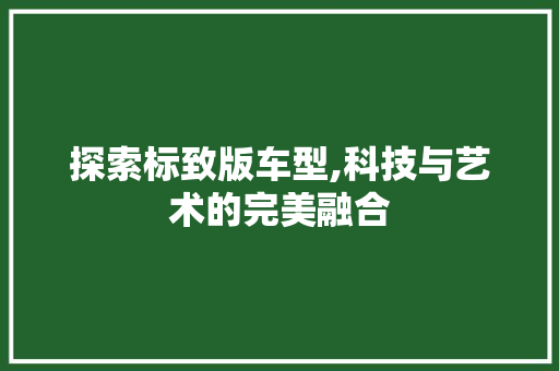 探索标致版车型,科技与艺术的完美融合