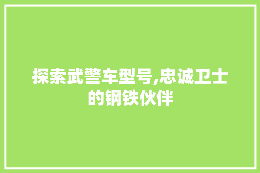探索武警车型号,忠诚卫士的钢铁伙伴