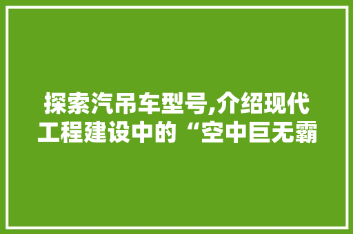 探索汽吊车型号,介绍现代工程建设中的“空中巨无霸”