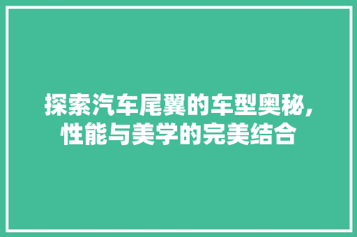 探索汽车尾翼的车型奥秘,性能与美学的完美结合