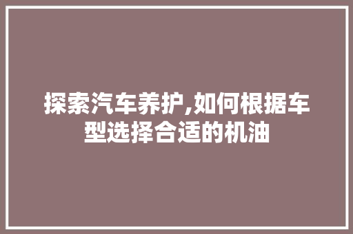 探索汽车养护,如何根据车型选择合适的机油