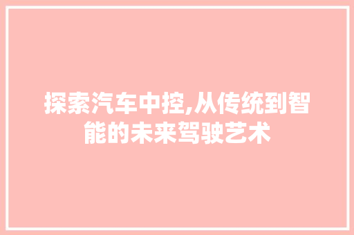 探索汽车中控,从传统到智能的未来驾驶艺术