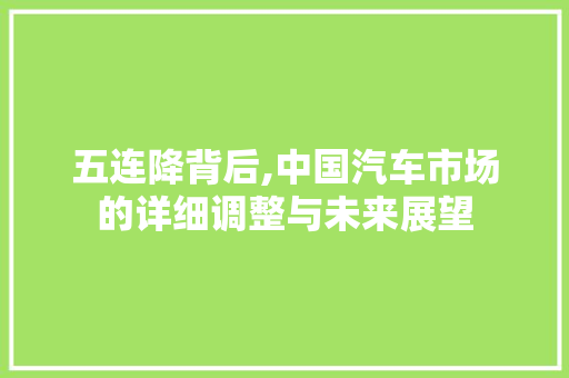 五连降背后,中国汽车市场的详细调整与未来展望 车身配件