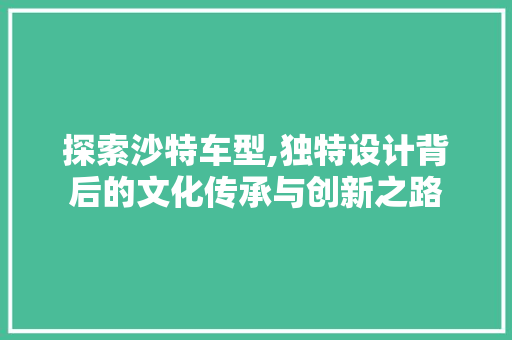 探索沙特车型,独特设计背后的文化传承与创新之路
