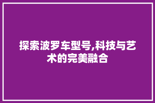 探索波罗车型号,科技与艺术的完美融合