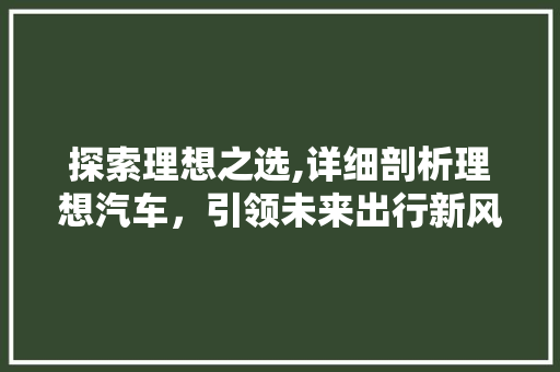探索理想之选,详细剖析理想汽车，引领未来出行新风尚