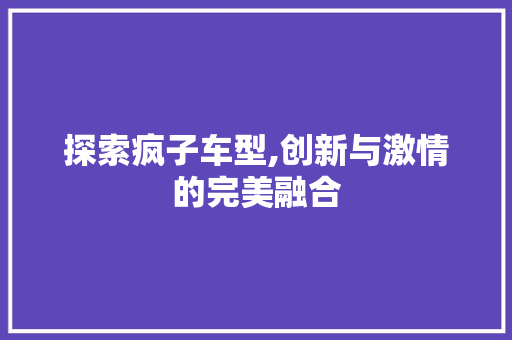探索疯子车型,创新与激情的完美融合