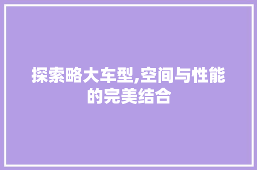 探索略大车型,空间与性能的完美结合