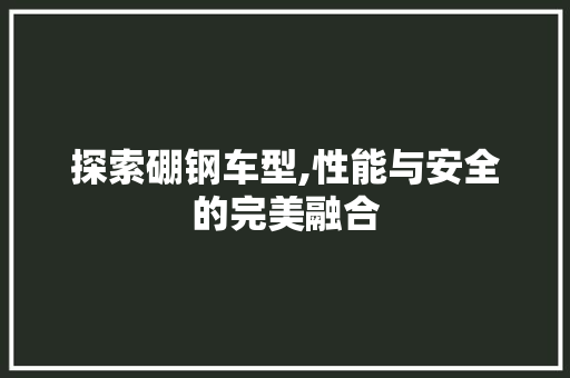 探索硼钢车型,性能与安全的完美融合
