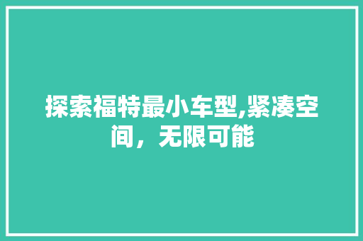 探索福特最小车型,紧凑空间，无限可能