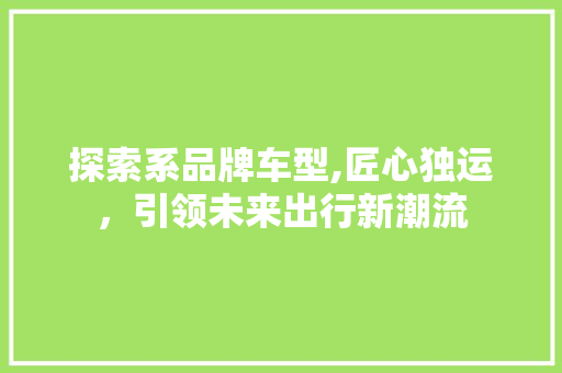 探索系品牌车型,匠心独运，引领未来出行新潮流