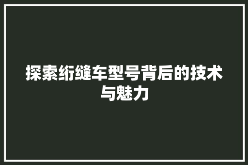 探索绗缝车型号背后的技术与魅力