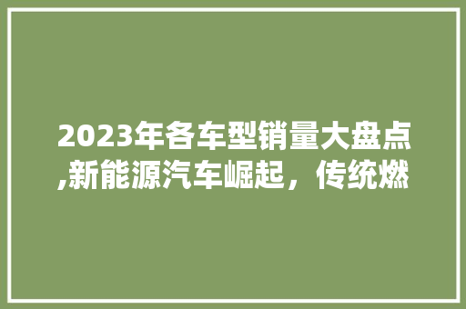 2023年各车型销量大盘点,新能源汽车崛起，传统燃油车面临挑战