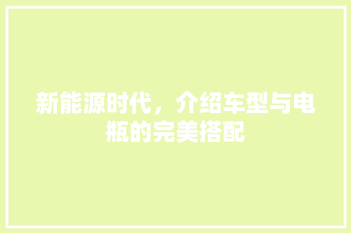 新能源时代，介绍车型与电瓶的完美搭配