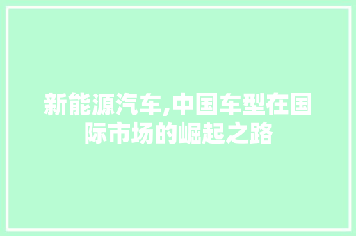 新能源汽车,中国车型在国际市场的崛起之路