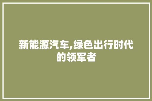 新能源汽车,绿色出行时代的领军者