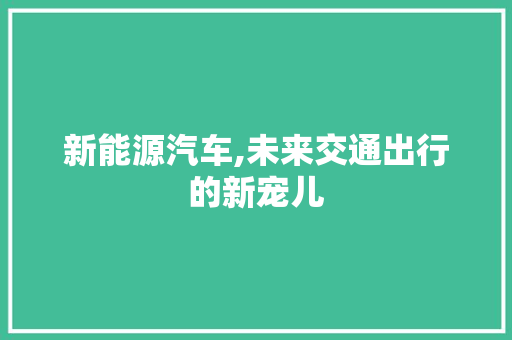 新能源汽车,未来交通出行的新宠儿
