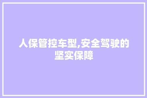 人保管控车型,安全驾驶的坚实保障 蓄电池配件